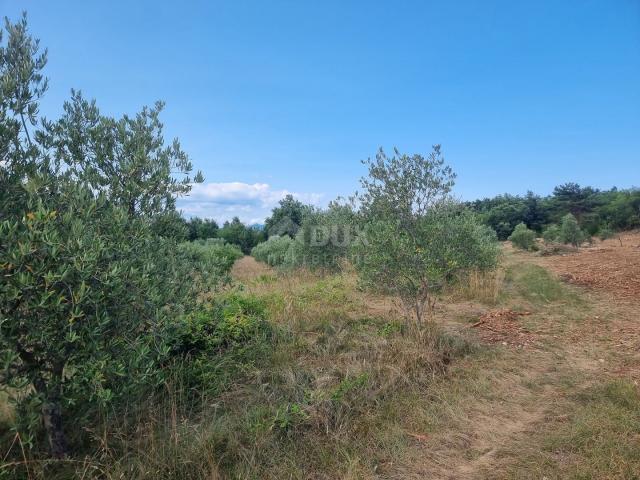 ISTRIA, LABIN - Spacious combined land in an outstanding location