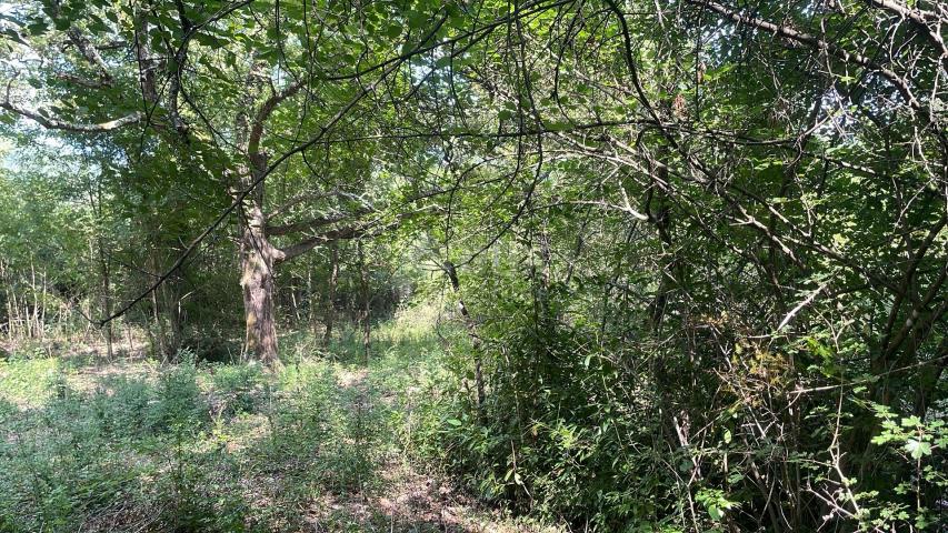 ISTRA, PIĆAN – Ein großzügiger Grundstückskomplex in ruhiger Lage