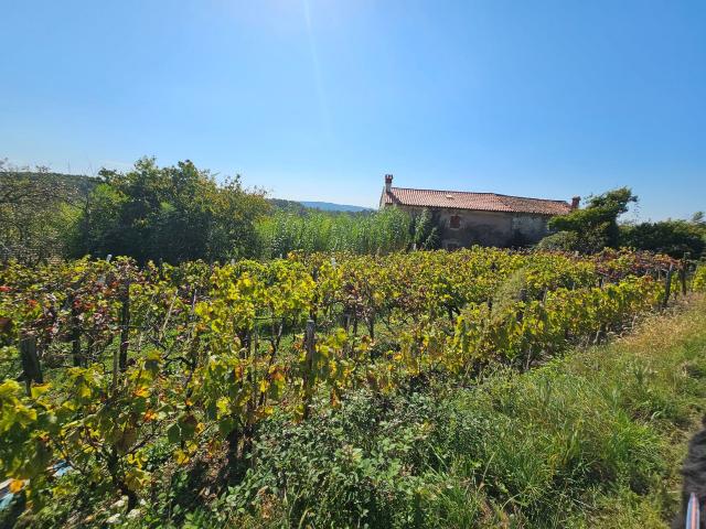 Stone houses in the surroundings of Grožnjan with a large plot of land and open view