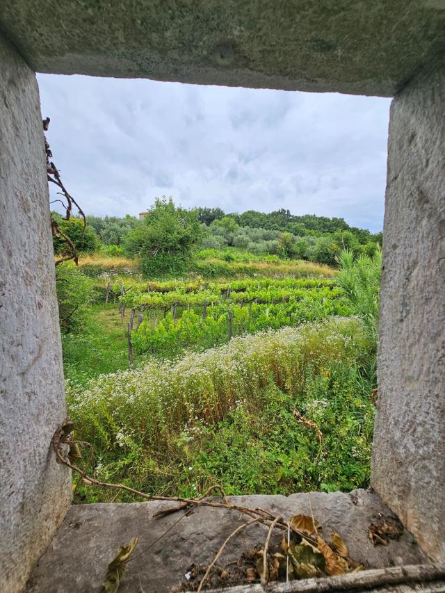 Stone houses in the surroundings of Grožnjan with a large plot of land and open view