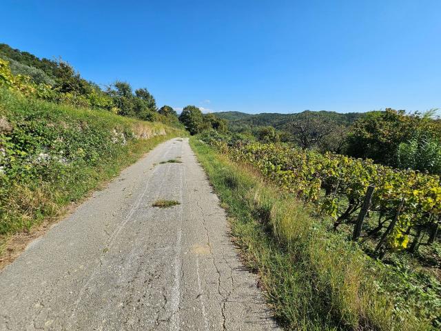 Stone houses in the surroundings of Grožnjan with a large plot of land and open view