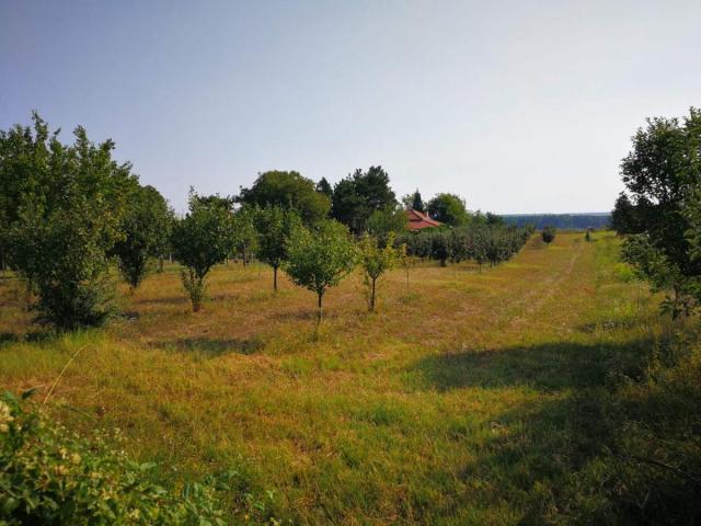 Prvoklasno zemljište sa pogledom na Dunav