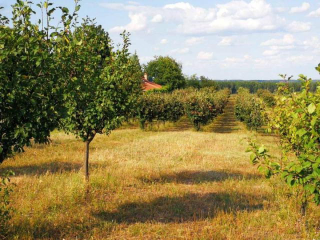 Prvoklasno zemljište sa pogledom na Dunav