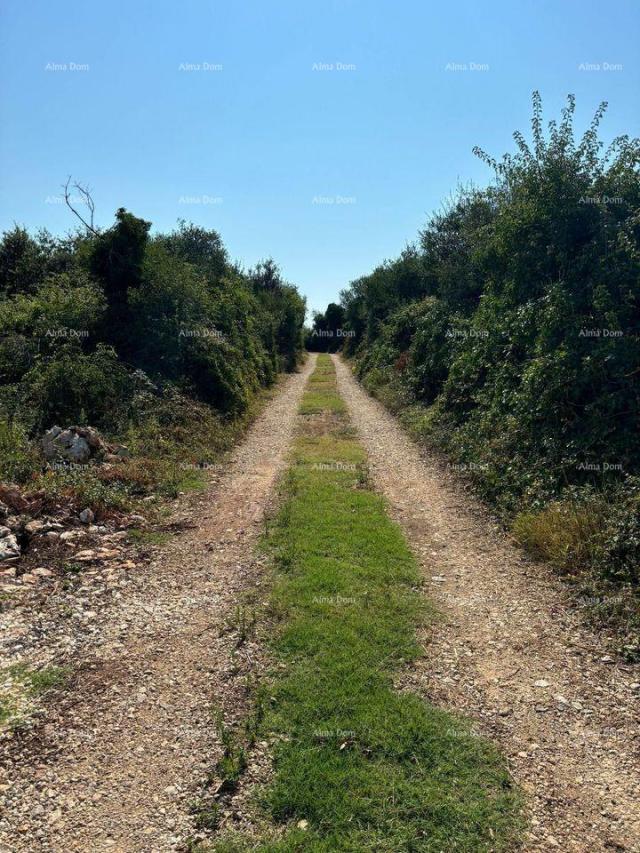 Građevinsko zemljište Prodaje se građevinsko zemljište, 4300m2 u industrijsko-poslovnoj zoni Šišan. 