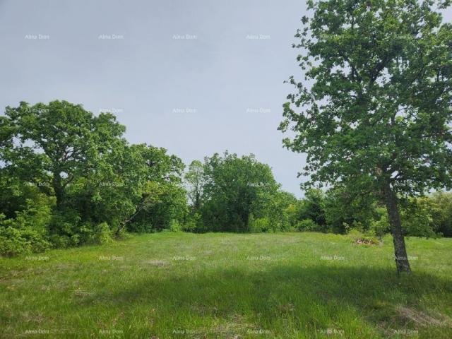 Building land Building land for sale, 12,000m2, in an attractive location just below the small Istri