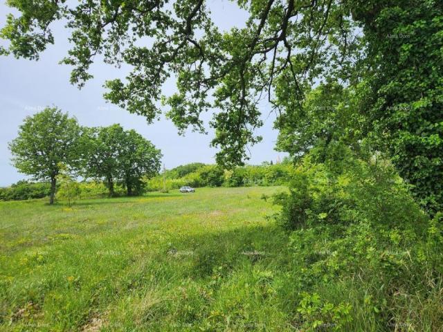 Bauland Bauland zum Verkauf, 12.000 m2, in attraktiver Lage direkt unterhalb des kleinen istrischen 