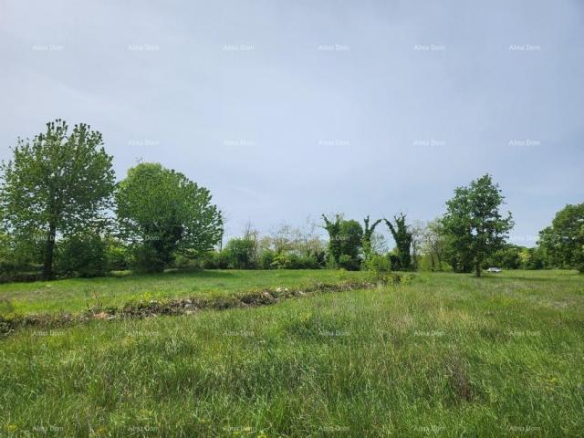 Building land Building land for sale, 12,000m2, in an attractive location just below the small Istri