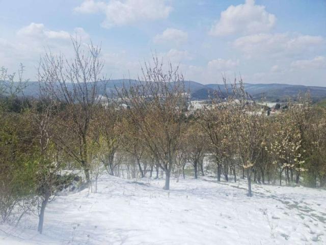 Prelep plac na Popovici u blizini budućeg mosta