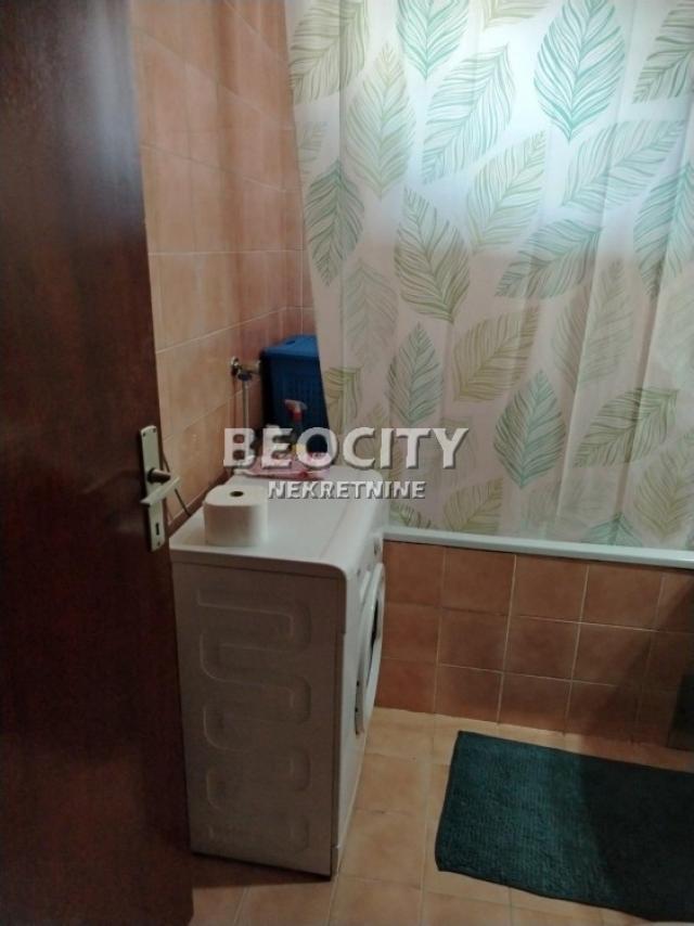 Novi Sad, Detelinara, Pasterova, 3. 0, 65m2, 142000EUR