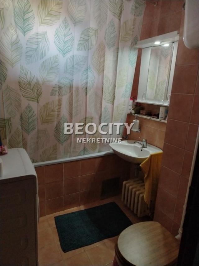 Novi Sad, Detelinara, Pasterova, 3. 0, 65m2, 142000EUR