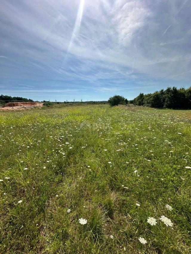 ISTRA, BARBAN - Građevinsko zemljište za gradnju kompleksa vila! PRILKA ZA INVESTICIJU!