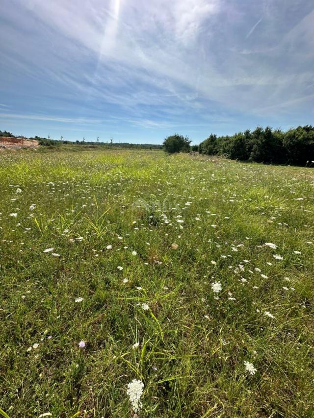 ISTRA, BARBAN - Građevinsko zemljište za gradnju kompleksa vila! PRILKA ZA INVESTICIJU!