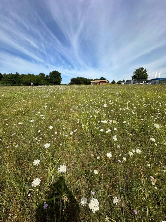 ISTRA, BARBAN - Građevinsko zemljište za gradnju kompleksa vila! PRILKA ZA INVESTICIJU!