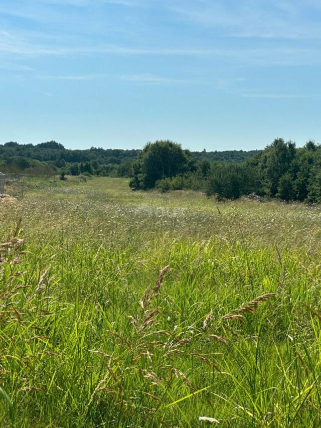 ISTRA, BARBAN - Građevinsko zemljište za gradnju kompleksa vila! PRILKA ZA INVESTICIJU!