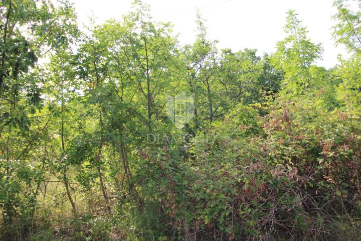 Land Kostrena, 3.175m2