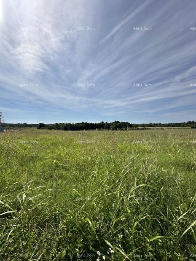 Bauland Baugrundstück zu verkaufen, 5832m2, Barban