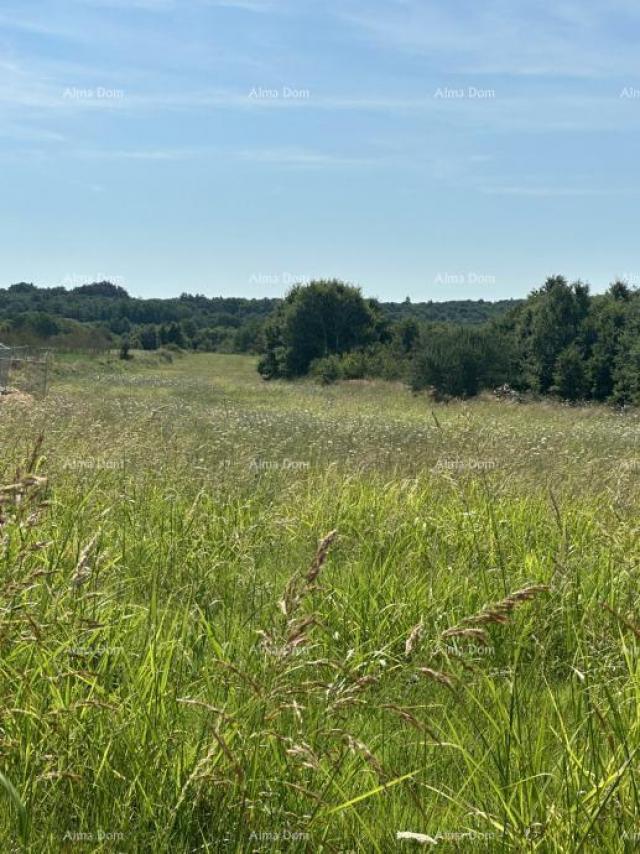 Bauland Baugrundstück zu verkaufen, 5832m2, Barban