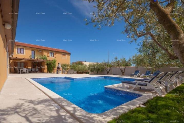 House A beautiful villa with a pool in Banjole is for sale