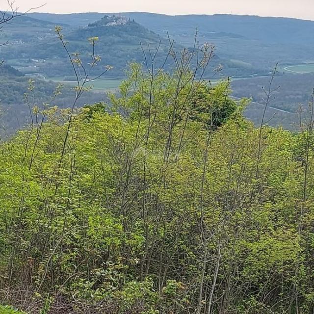 ISTRIEN, LIVADE (Umgebung) - Bauland mit beeindruckender Aussicht