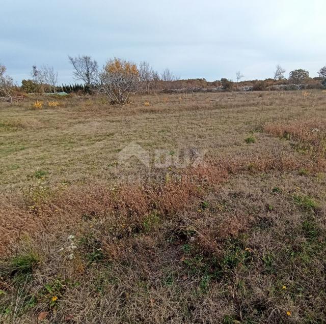 ISTRA, ŠTOKOVCI - Lijepo građevinsko zemljište 700 m2