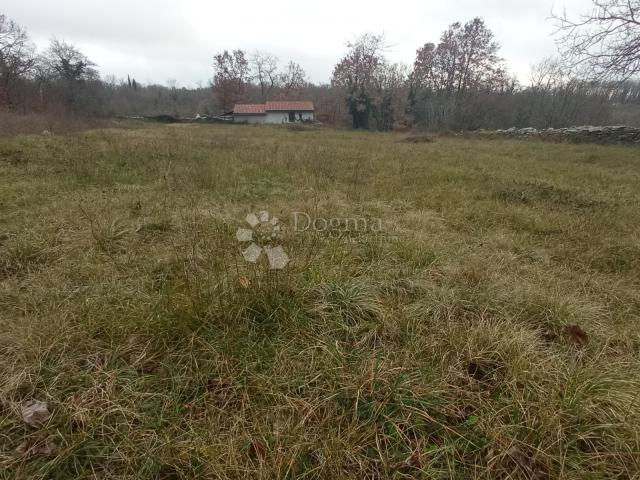 PRILIKA!!! Veliko zemljište u okolici Žminja