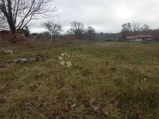 Land Grandići, Barban, 1.100m2