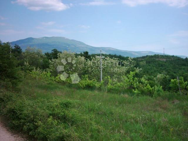 Land Lesišćina, Lupoglav, 83.294m2