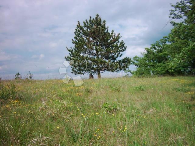 Land Lesišćina, Lupoglav, 83.294m2