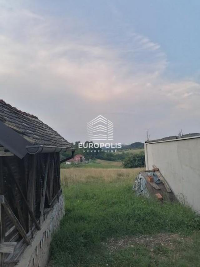 Pavla Radomina, Ripanj-Trešnja, Voždovac ID#5958