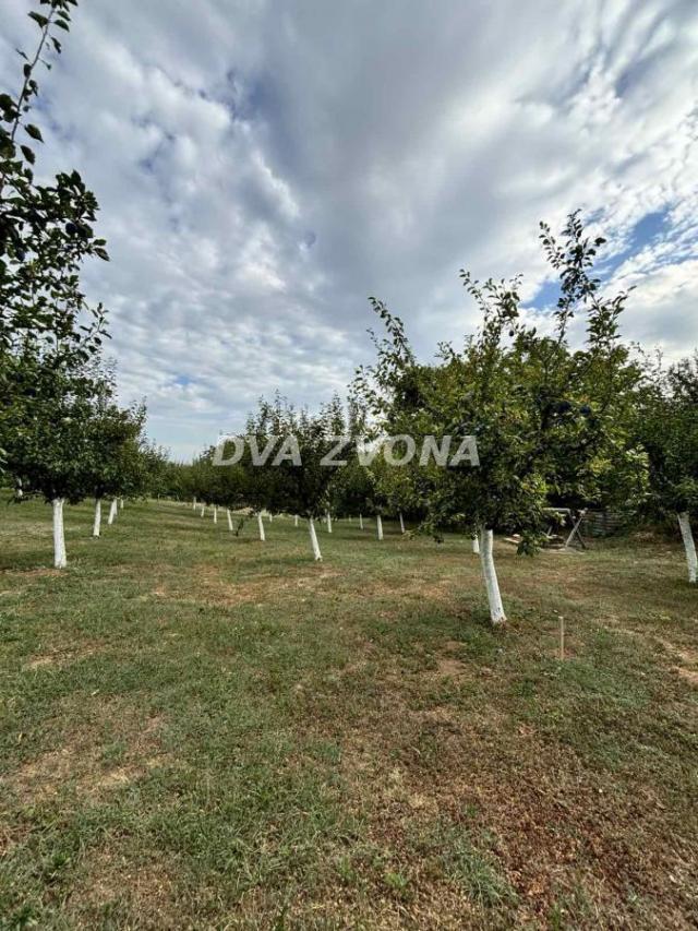 PLAC SA UKNJIŽENIM POMOĆNIM OBJEKTOM I VOĆNJAKOM NA FRUŠKOJ GORI!