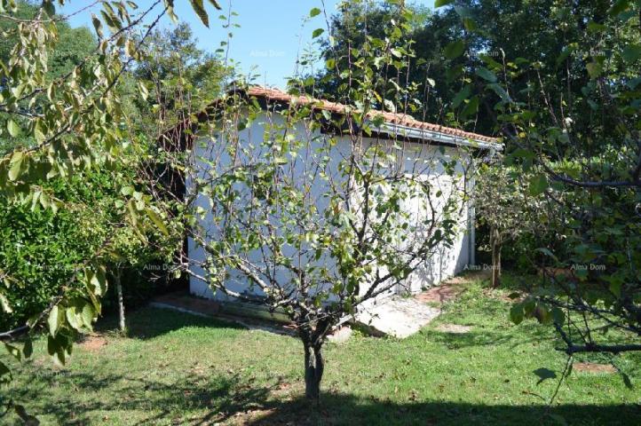 House Beautiful house with swimming pool!