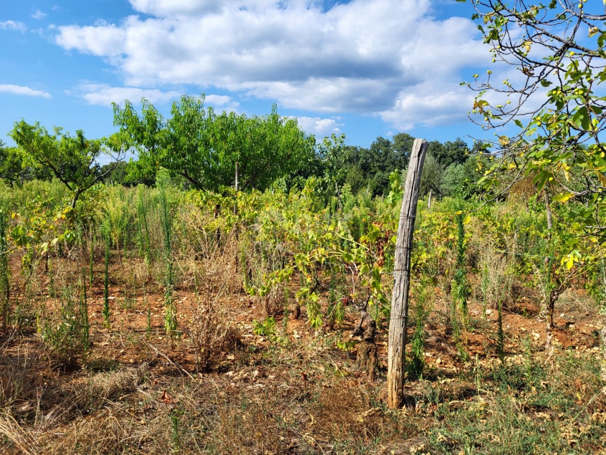 ISTRIA, BARBAN - Land with the last project in the construction zone