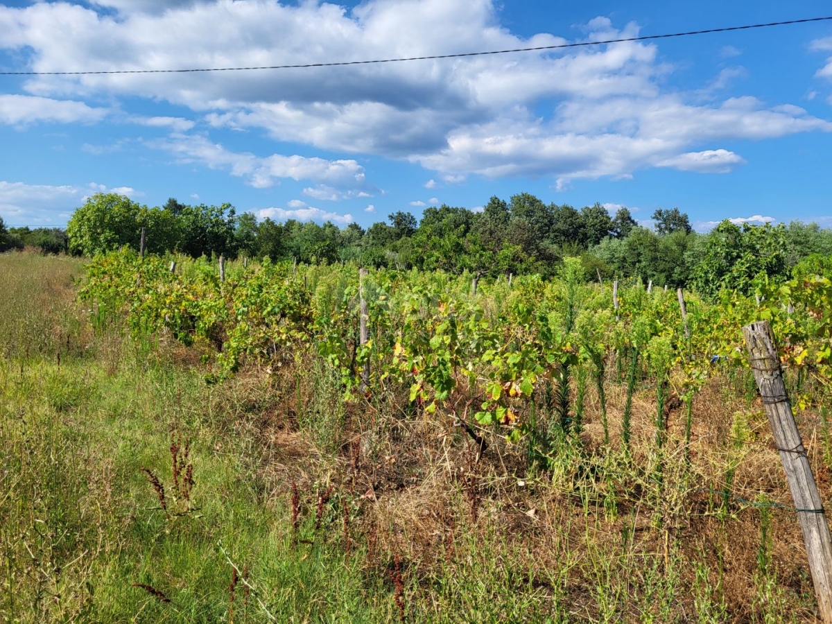 ISTRIA, BARBAN - Land with the last project in the construction zone