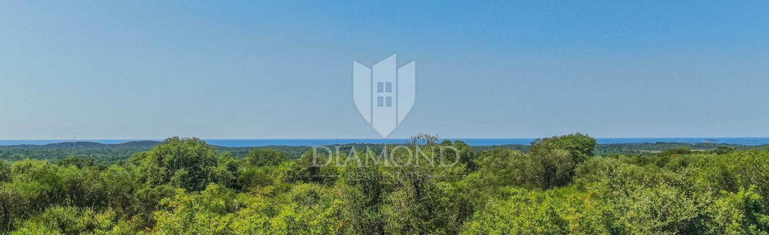 SEA VIEW!!! Land near Rovinj with building permit