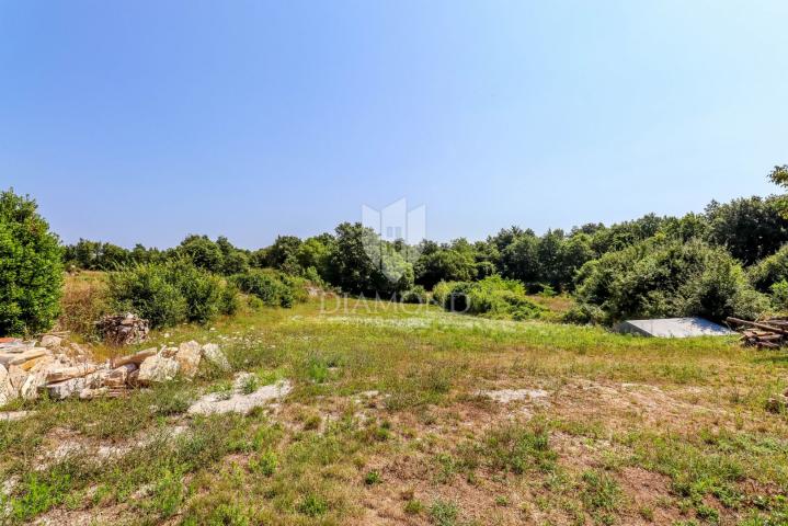 Rovinj, surroundings, stone house with a swimming pool and a spacious garden