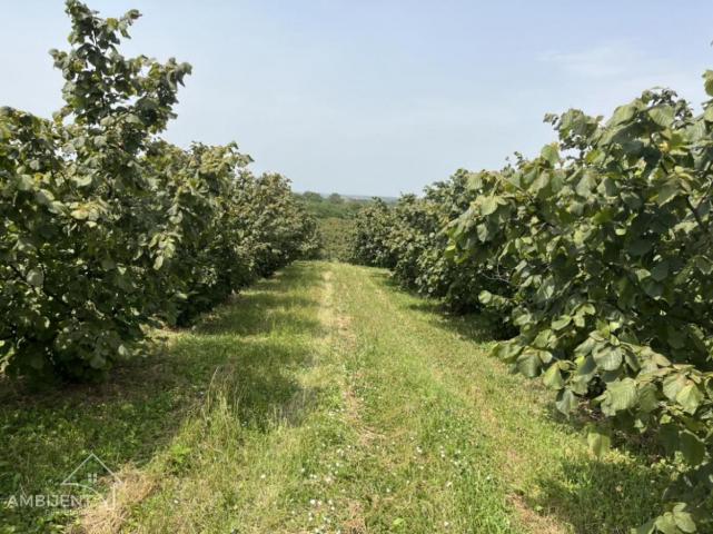 SNIŽENO -FANTASTIČNA PRILIKA - RAZRAĐEN BIZNIS LEŠNICI- PRODAJA