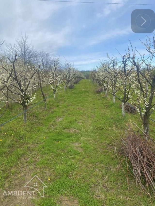 SNIŽENO -FANTASTIČNA PRILIKA - RAZRAĐEN BIZNIS LEŠNICI- PRODAJA