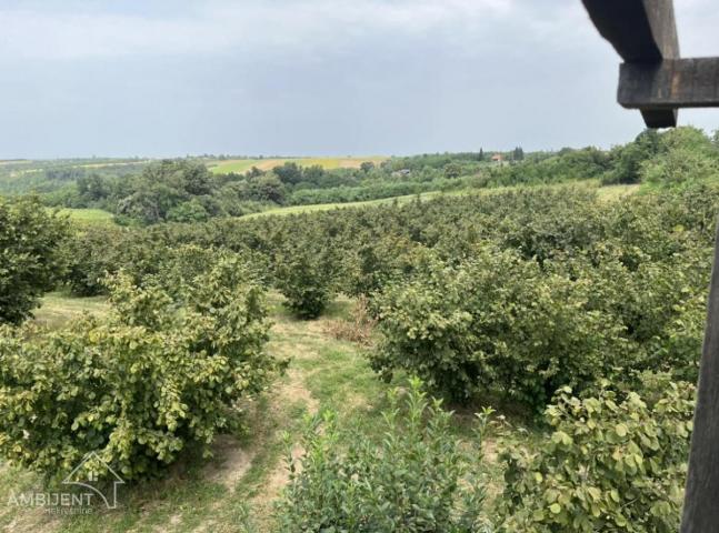 SNIŽENO -FANTASTIČNA PRILIKA - RAZRAĐEN BIZNIS LEŠNICI- PRODAJA