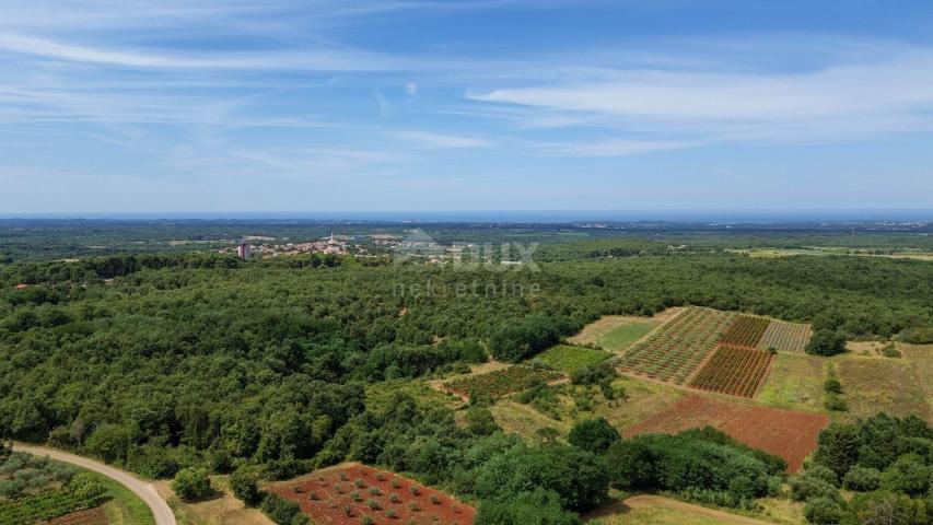 ISTRA, VIŠNJAN - Kamena ljepotica s panoramskim pogledom na more