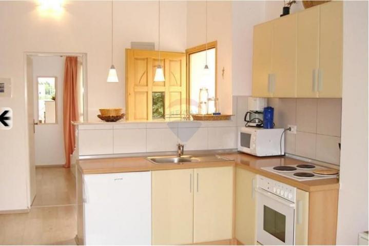 House Molat, Zadar - Okolica, 241m2