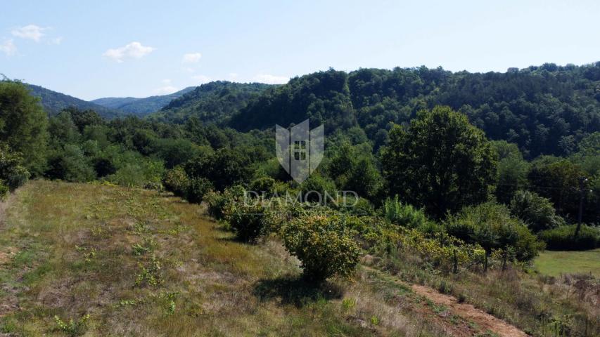 Građevinsko zemljište u okolici Motovuna!