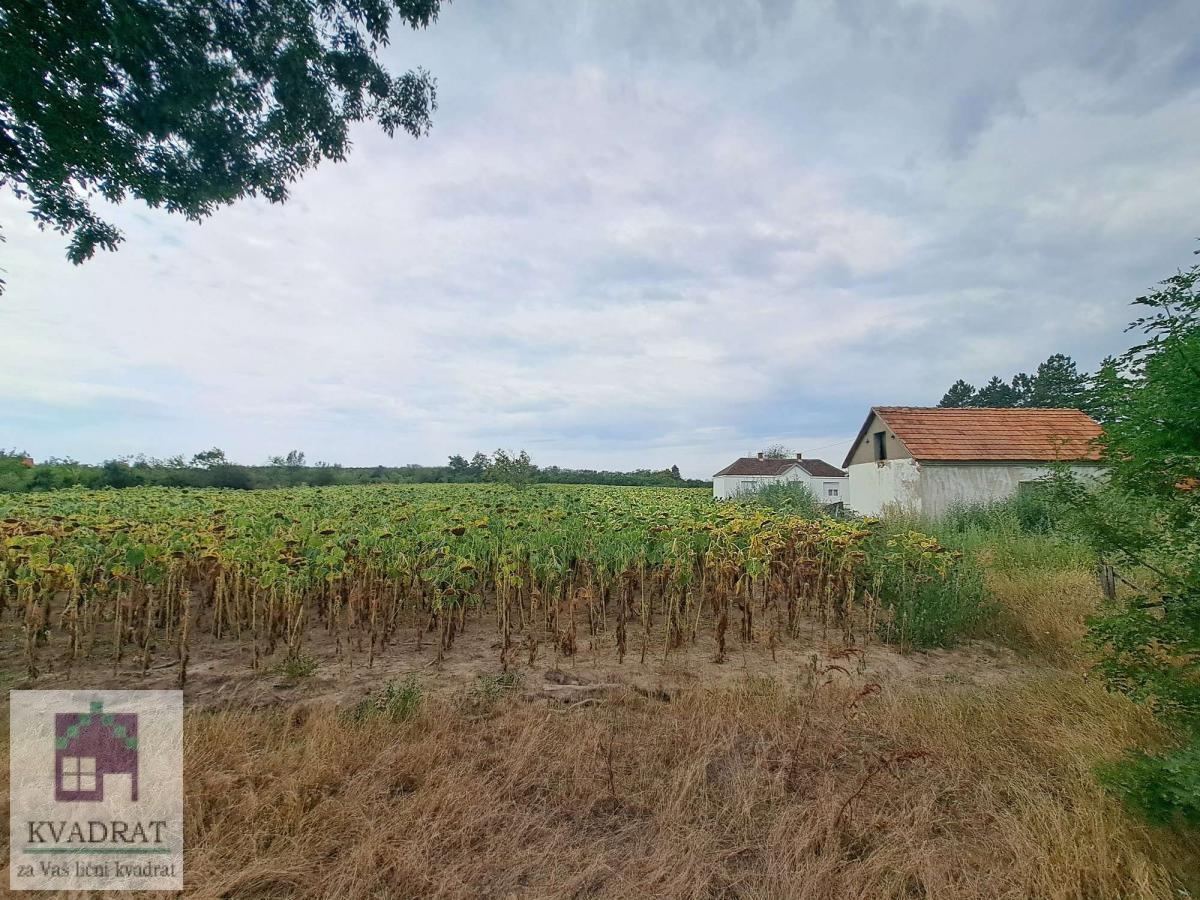 Kuća, seosko imanje , 48 m2, 2, 3 ha  , Banjani, Ub, 56. 000€