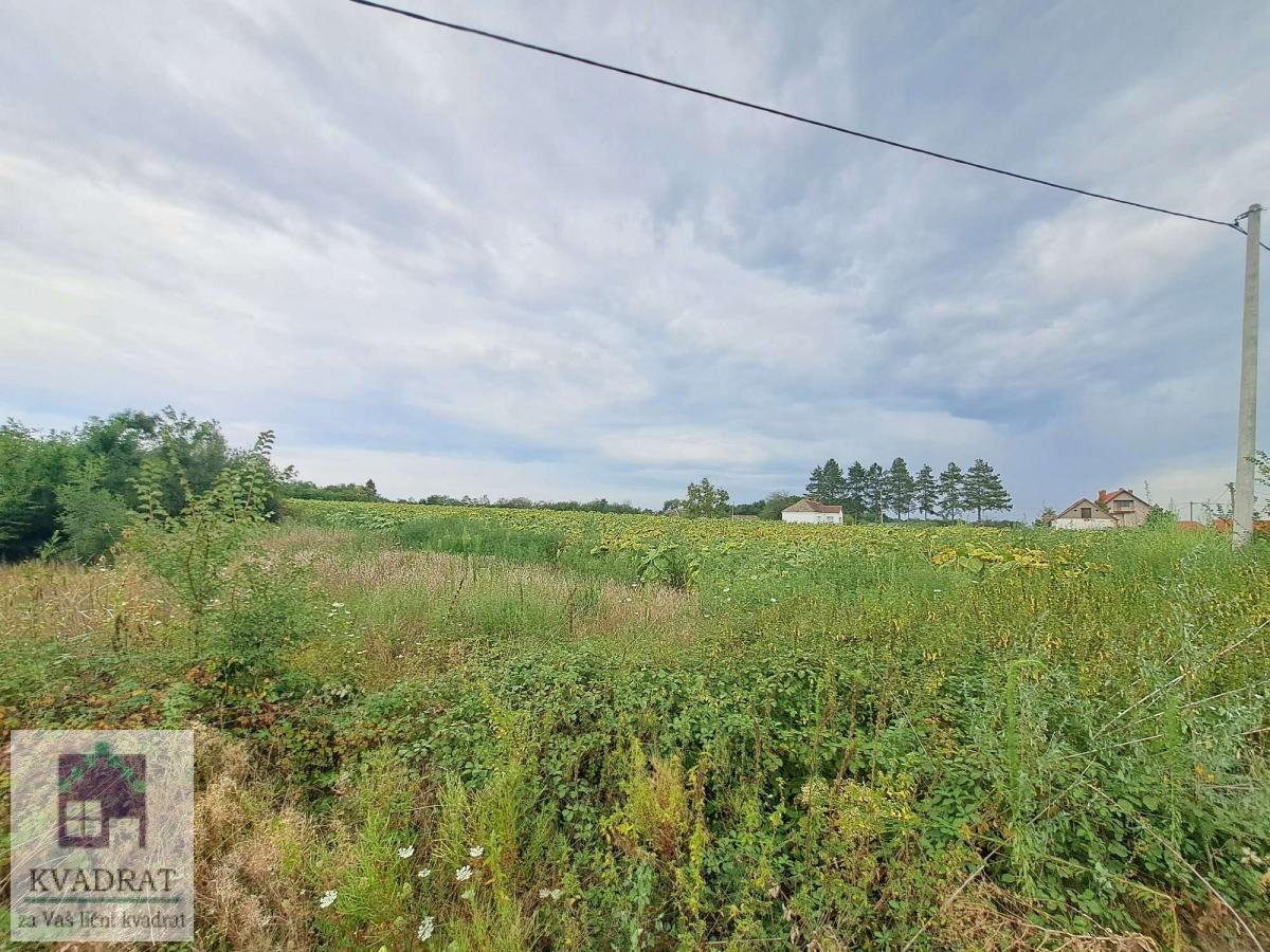 Kuća, seosko imanje , 48 m2, 2, 3 ha  , Banjani, Ub, 56. 000€