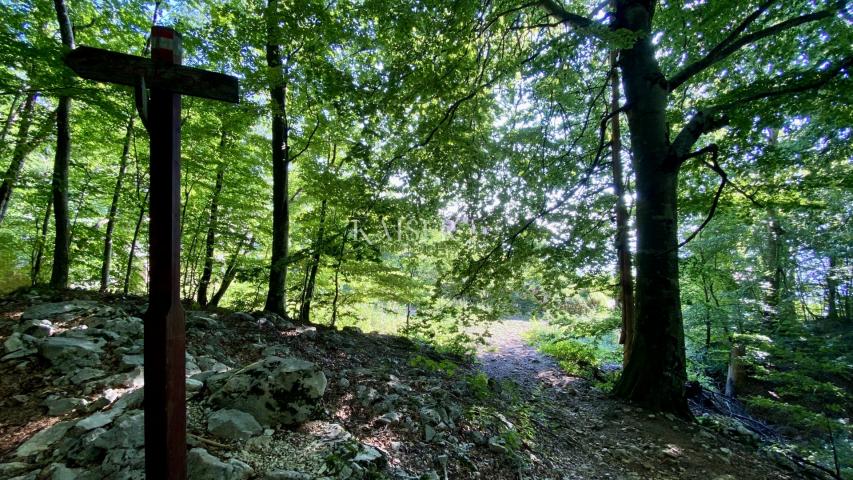 Opatija, Poklon - Villa in dem Naturpark mit Meerblick