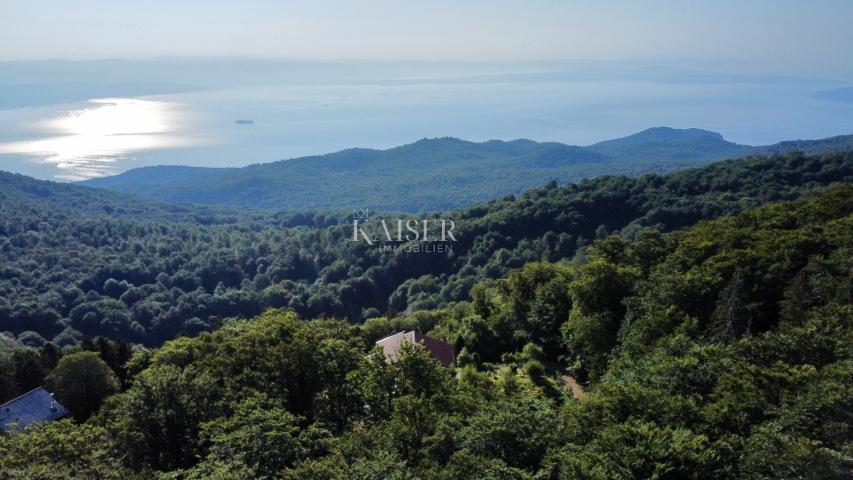 Opatija, Poklon - Villa in dem Naturpark mit Meerblick