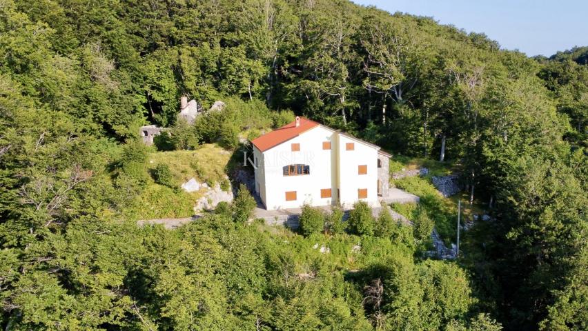 Opatija, Poklon - Villa in dem Naturpark mit Meerblick