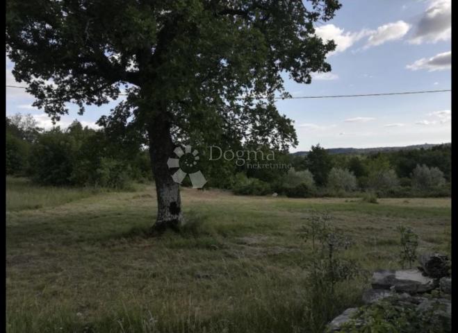 STONE HOUSE WITH LARGE BUILDING LAND