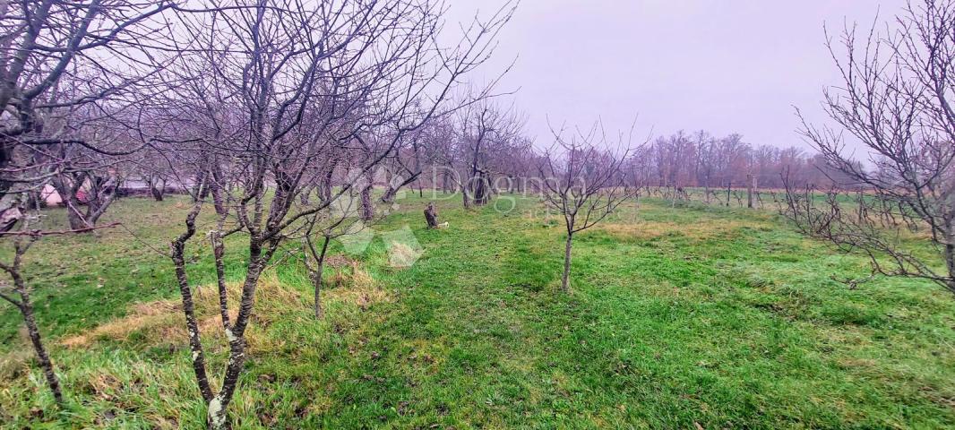 House Boljunsko Polje, Lupoglav, 84m2