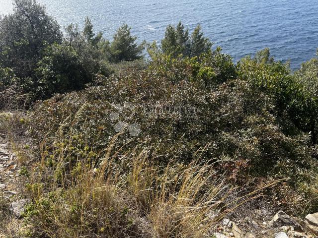 Land Vela Luka, 2.864m2