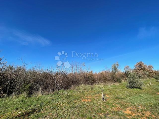 Land Tar, Tar-Vabriga, 3.550m2